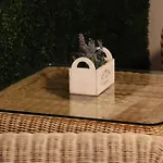 Jenny's Apartment